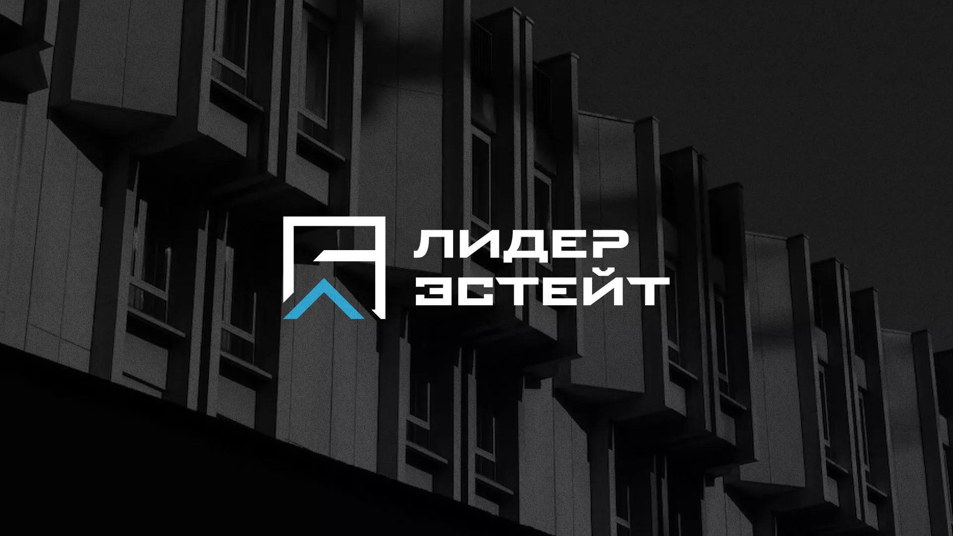 Разработка логотипа агентства недвижимости «Лидер Эстейт» в Олёкминске
