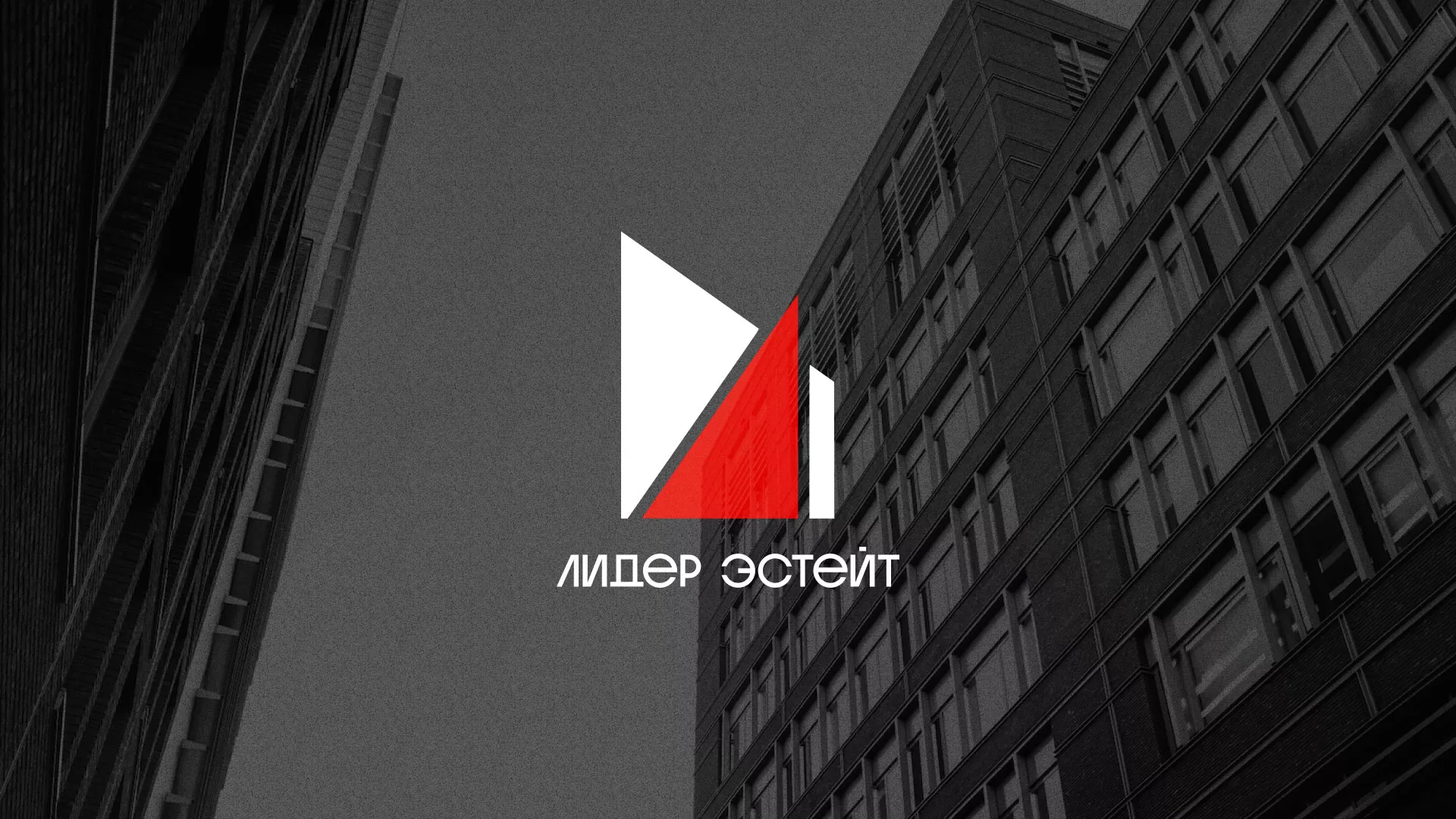 Сделали логотип для агентства недвижимости «Лидер Эстейт» в Олёкминске